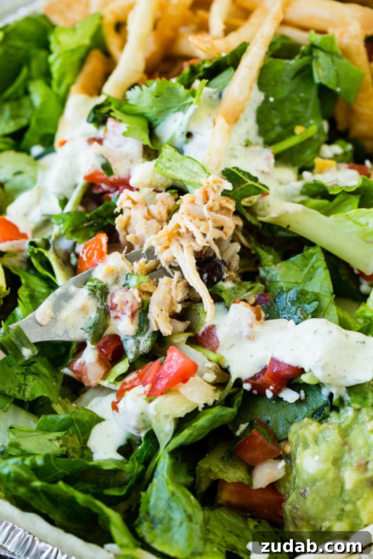 Cafe Rio's Famous Chicken: A Culinary Adventure 3 Fork full of shredded Cafe Rio style chicken on a salad
