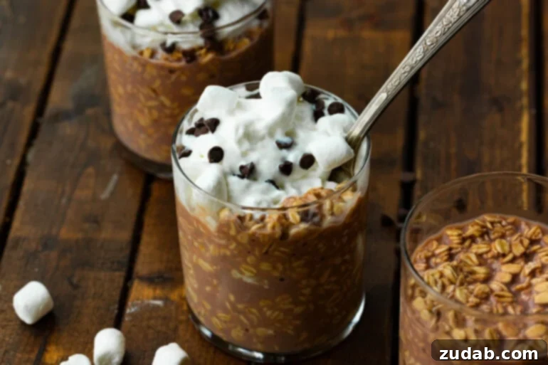 Hot Chocolate Dream Oats 2 Hot Cocoa Overnight Oats topped with whipped cream and chocolate chips