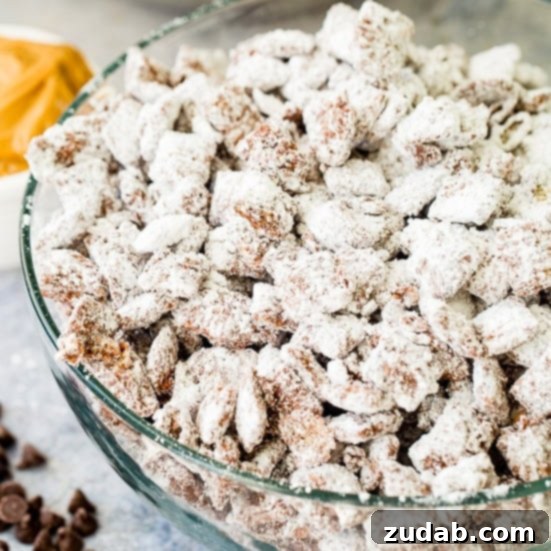 Muddy Buddies (Puppy Chow)