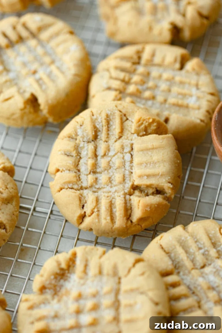 The Ultimate Guide to Perfect Peanut Butter Cookies 2 Classic Peanut Butter Cookies on a Cooling Rack