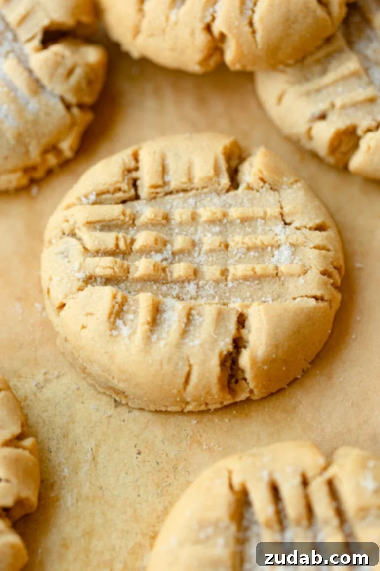 The Ultimate Guide to Perfect Peanut Butter Cookies 4 Close-Up of a Baked Peanut Butter Cookie
