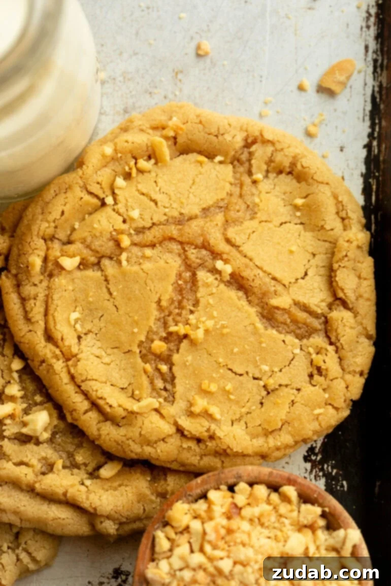Bakery-Style Peanut Butter Dream Cookies 5 Overhead view of a large peanut butter cookie with chopped peanuts.