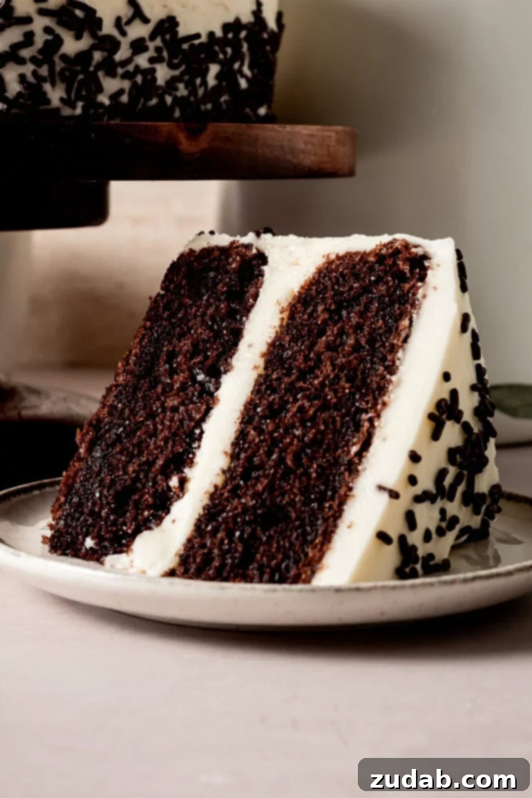 From Box to Bliss: Elevating Simple Chocolate Cake 2 A slice of 2-layer chocolate cake filled and covered with vanilla buttercream frosting and chocolate sprinkles.