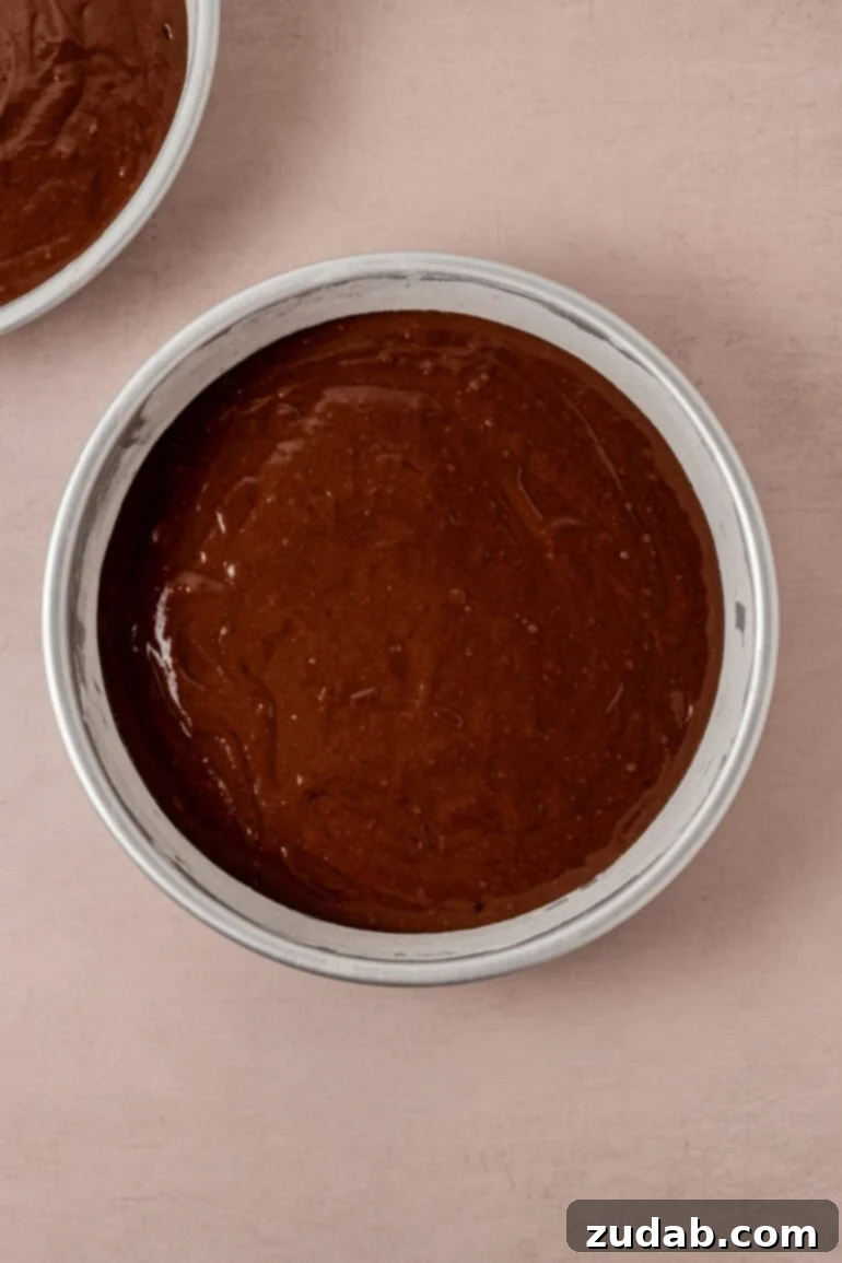 From Box to Bliss: Elevating Simple Chocolate Cake 11 Cake layers baking in the oven.