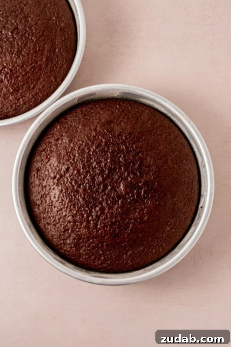 From Box to Bliss: Elevating Simple Chocolate Cake 12 Cake layers cooling on a wire rack.