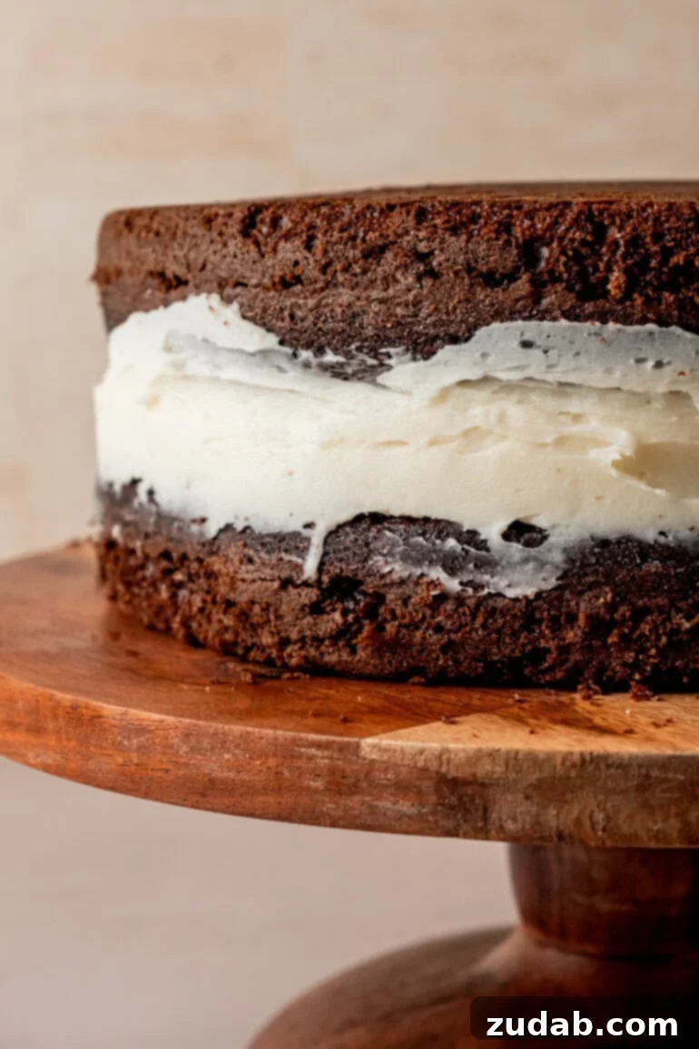 From Box to Bliss: Elevating Simple Chocolate Cake 17 Frosting the first cake layer.