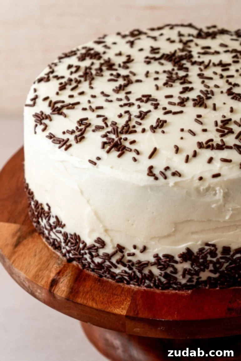 From Box to Bliss: Elevating Simple Chocolate Cake 20 Finishing the cake with a final layer of frosting and sprinkles.