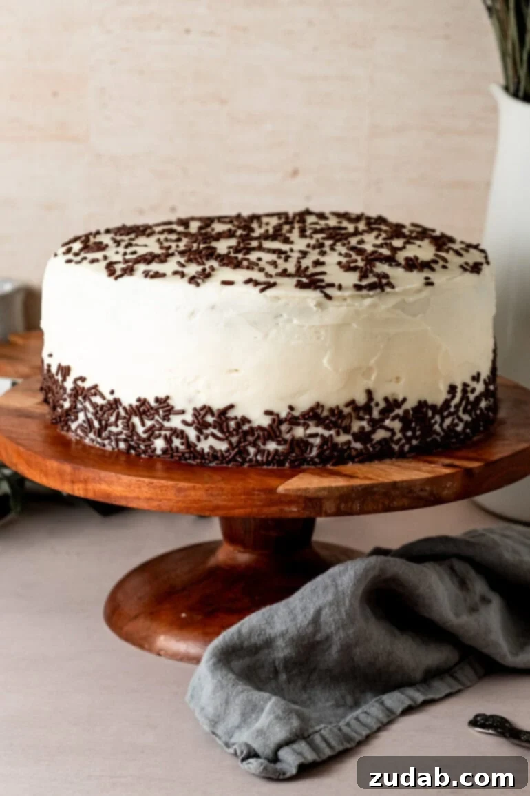 From Box to Bliss: Elevating Simple Chocolate Cake 3 A two-layer chocolate cake covered with vanilla buttercream frosting and chocolate sprinkles on a wooden cake stand.