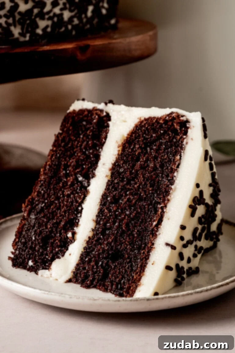 From Box to Bliss: Elevating Simple Chocolate Cake 6 A slice of two-layer chocolate cake with vanilla buttercream frosting and chocolate sprinkles.
