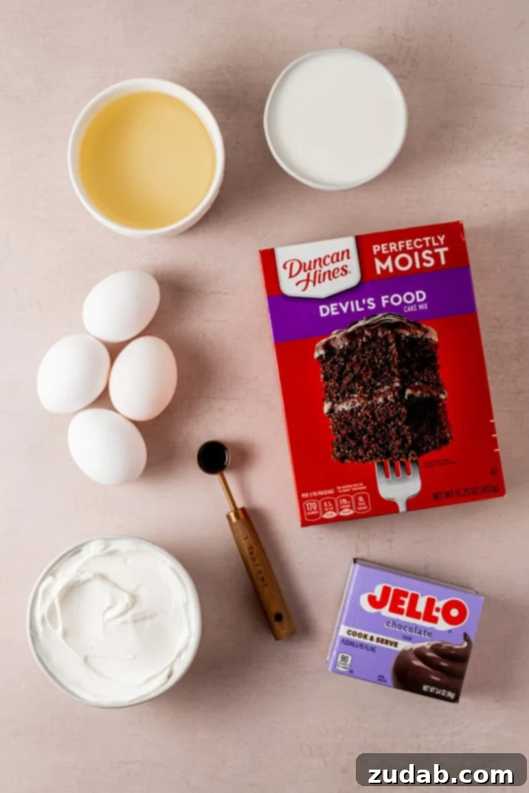From Box to Bliss: Elevating Simple Chocolate Cake 7 All the ingredients for a chocolate cake mix, including a box mix for chocolate cake, a box of chocolate pudding, eggs, sour cream, vanilla, and oil.