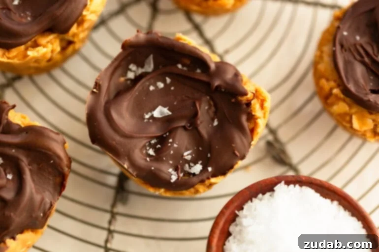 Chocolate Peanut Butter Oatmeal Cups 3 A single peanut butter oat cup topped with chocolate and sprinkled with salt sitting next to a small cup of flaked sea salt