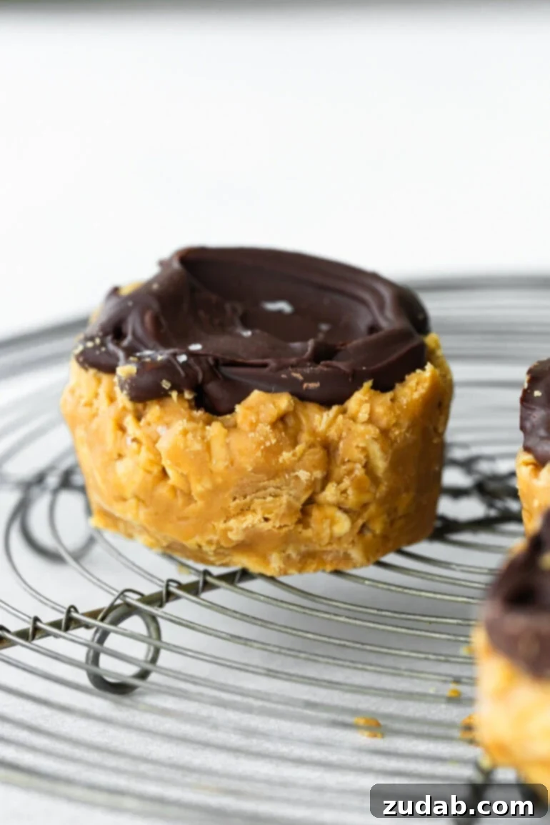 Chocolate Peanut Butter Oatmeal Cups 6 A single peanut butter oat cup topped with hardened chocolate topped with flaked sea salt