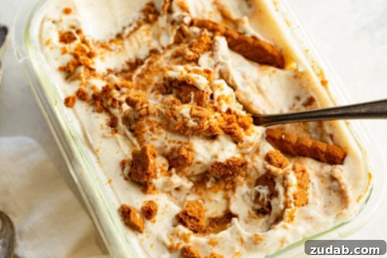 Viral Japanese Biscoff Cheesecake Yogurt (High Protein Dessert Sensation) 2 Vanilla yogurt with Biscoff cookies mixed in for cheesecake yogurt