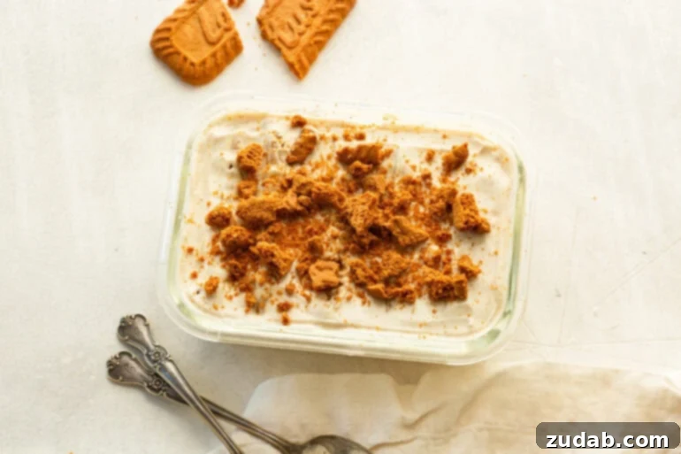 Viral Japanese Biscoff Cheesecake Yogurt (High Protein Dessert Sensation) 3 Vanilla yogurt with crumbled Biscoff cookies mixed in