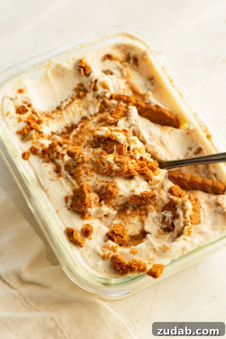Viral Japanese Biscoff Cheesecake Yogurt (High Protein Dessert Sensation) 4 A spoon stirring vanilla greek yogurt with biscoff cookie crumbles