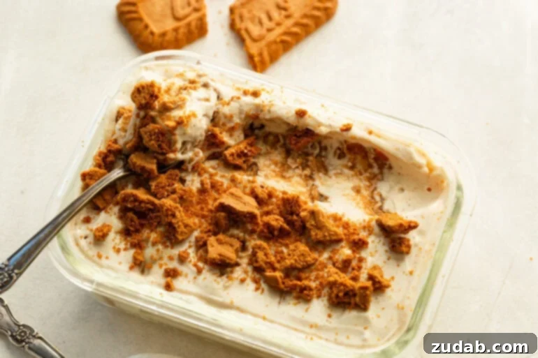 Viral Japanese Biscoff Cheesecake Yogurt (High Protein Dessert Sensation) 5 Small container of greek yogurt with biscoff cookie crumbles