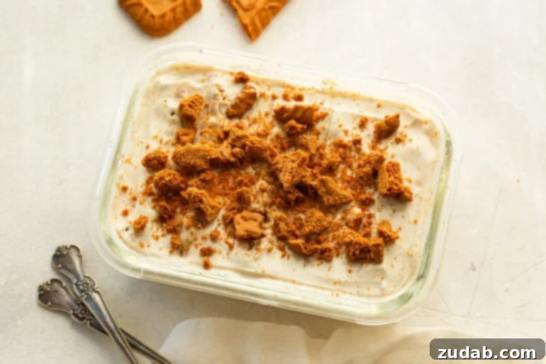 Viral Japanese Biscoff Cheesecake Yogurt (High Protein Dessert Sensation) 6 Rectangular cup of thick vanilla greek yogurt with biscoff cookie crumbles