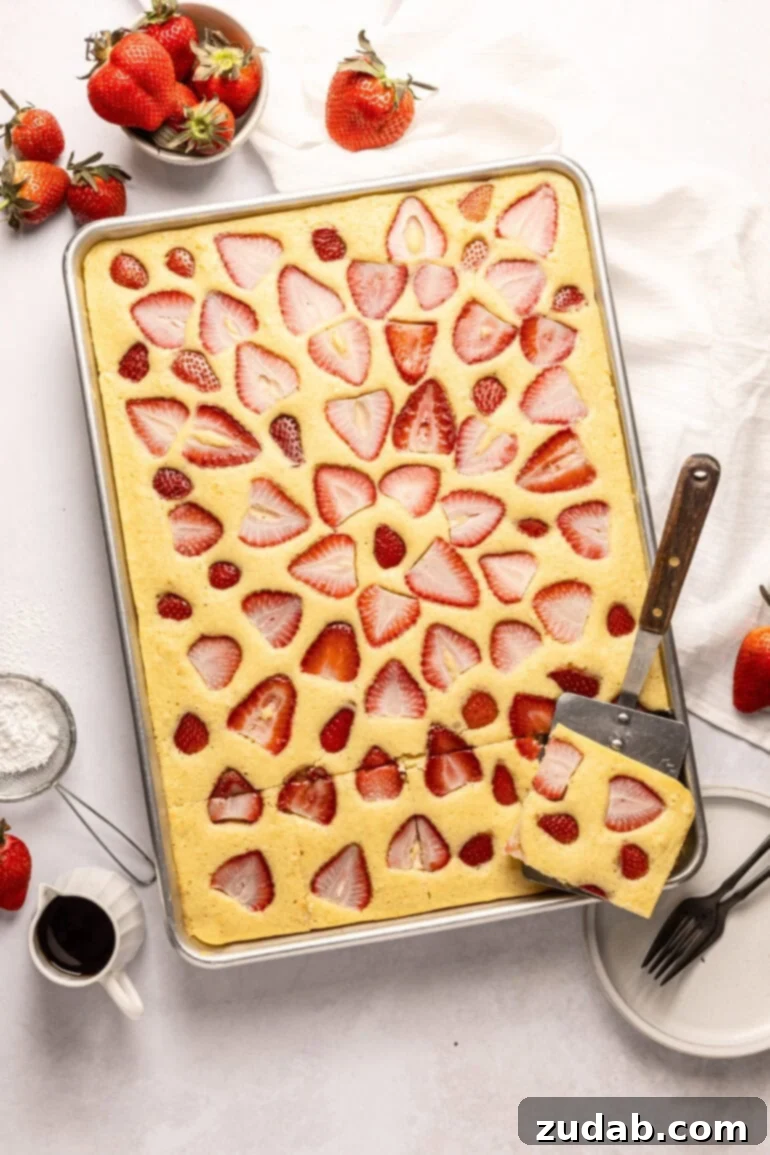 Sheet Pan Strawberry Pancake Bake 2 A half sheet pan filled with golden-brown baked sheet pan pancakes, topped with vibrant fresh strawberry slices. A metal spatula is shown removing a single serving, ready to be enjoyed.