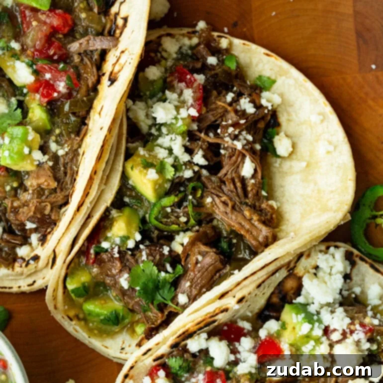Fall-Apart Poblano Beef Tacos from One Pot 2 Tender shredded beef with smoky peppers and herbs wrapped in soft tortillas, ready to serve.