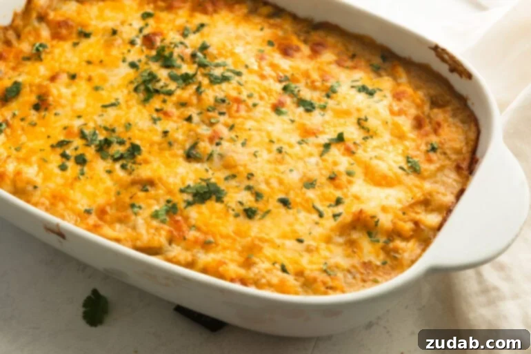 Mama's Velvety Chicken Enchilada Bake 2 a golden baked chicken enchilada casserole topped with melted cheese and sprinkled with cilantro