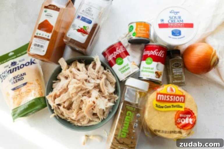 Mama's Velvety Chicken Enchilada Bake 4 all the ingredients needed for creamy chicken enchilada casserole