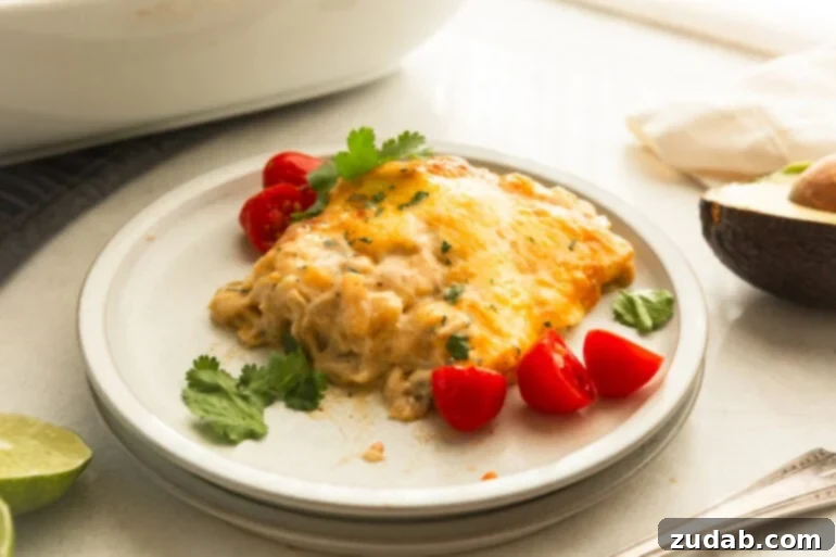 Mama's Velvety Chicken Enchilada Bake 6 a serving of creamy chicken enchilada casserole on a dinner plate with cilantro sprinkled around it and halved cherry tomatoes around it