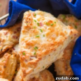 A few weeks ago I was making our apple pie scones and suddenly had the brilliant idea of making a savory version, easy ham and cheese scones! ohsweetbasil.com