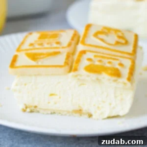 Banana Pudding Recipe