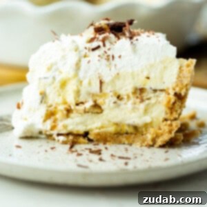 a photo of a large slice of double layered banana pudding pie topped with whipped cream and shaved chocolate