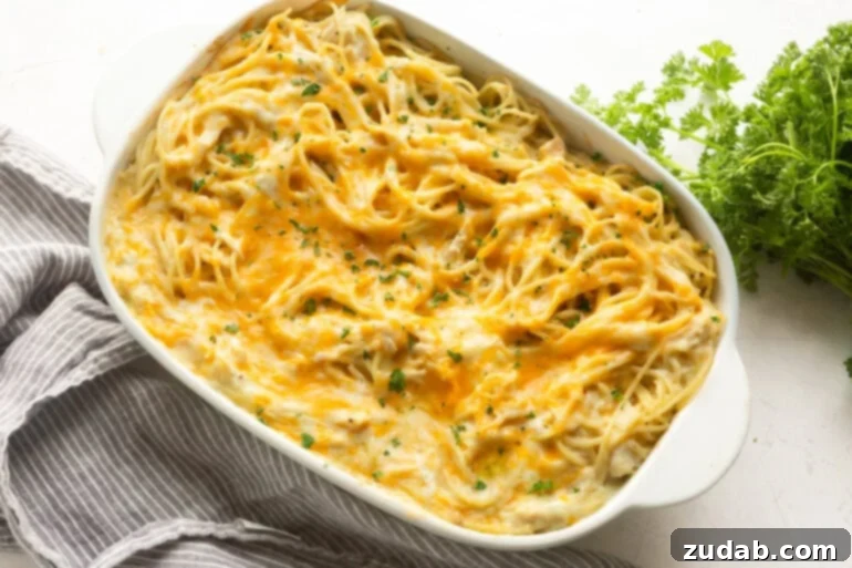 Velvety Cheesy Chicken Noodle Bake 2 A delicious cheesy chicken noodle casserole baked to perfection in a white ceramic dish, golden and bubbling on top.