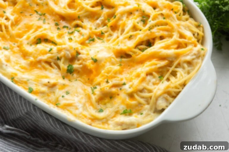 Velvety Cheesy Chicken Noodle Bake 4 A close-up of a bubbling cream cheese chicken noodle casserole, showing the rich, creamy sauce and tender noodles, fresh from the oven in a white ceramic baking dish.
