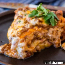 One skillet enchilada casserole loaded with saucy ground beef and gooey cheese.
