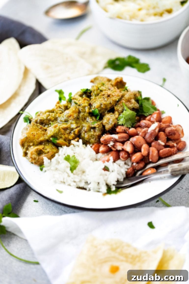 Easy Authentic Cinco de Mayo Recipes for Your Fiesta 24 Pork Chile Verde