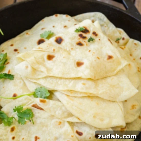 Easy Authentic Cinco de Mayo Recipes for Your Fiesta 44 Homemade Flour Tortilla