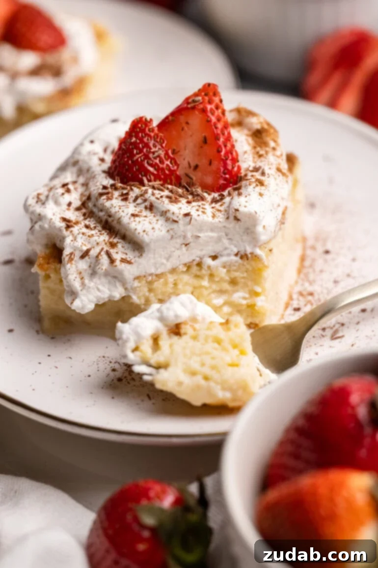 Easy Authentic Cinco de Mayo Recipes for Your Fiesta 56 Tres Leches Cake