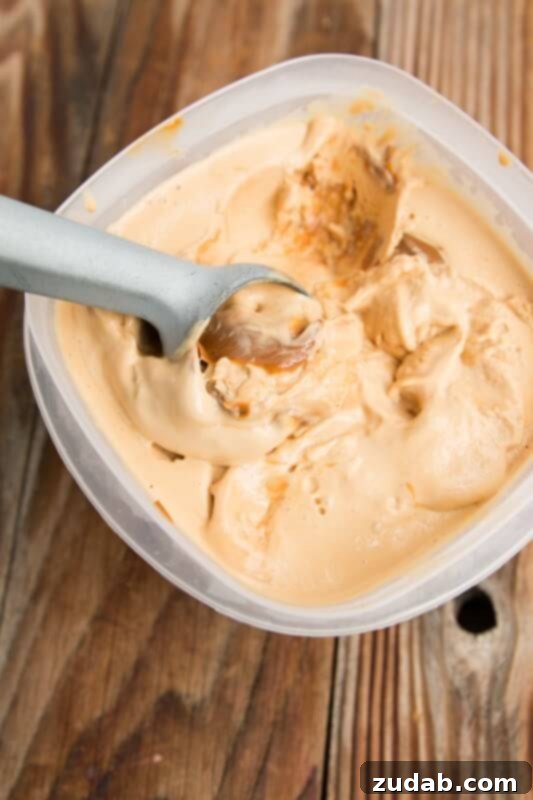 Easy Authentic Cinco de Mayo Recipes for Your Fiesta 60 THE BEST dulce de leche ice cream