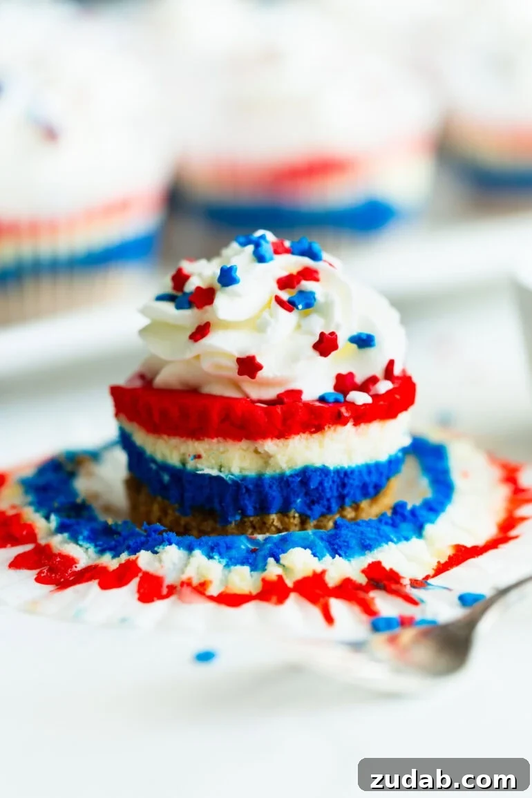 Patriotic Mini Cheesecakes with Red, White & Blue Layers 5 A side view of layered red, white, and blue cheesecakes with a swirl of whipped cream and patriotic star sprinkles