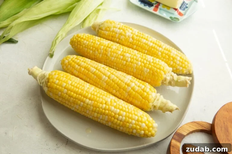 How to Cook Corn on the Cob Perfectly Every Time 6 four ears of corn sitting on a dinner plate with bright yellow kernels