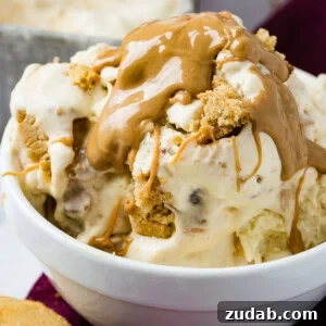 A bowl of peanut butter cookie ice cream with cookie chunks