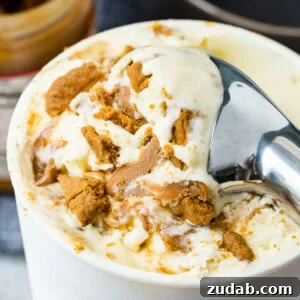Scoops of Biscoff cookie butter ice cream
