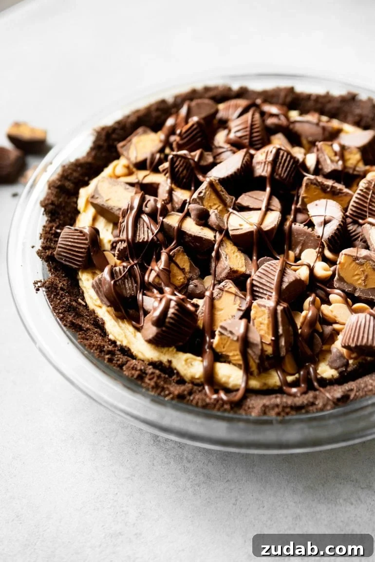 Father’s Day Grill Recipes Dad Will Love: Crowd-Pleasing Ideas 41 Reese's ice cream pie