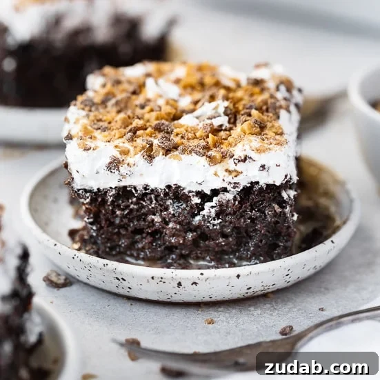 Father’s Day Grill Recipes Dad Will Love: Crowd-Pleasing Ideas 42 chocolate cake