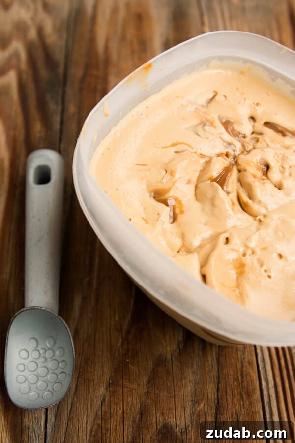 Father’s Day Grill Recipes Dad Will Love: Crowd-Pleasing Ideas 44 dulce de leche ice cream